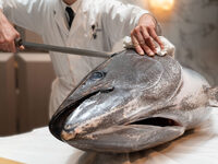 【1/23(金)限定ディナー(小人)】 Premium Buffet 極 －KIWAMI－ 第9弾  日本料理 「鮪 解体ショー」