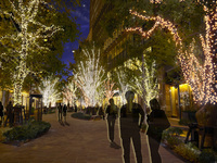 LUNCH short COURSE Xmas menu ¥5,000　12月23日～25日限定