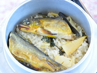 彩膳(焼き鮎)　＜土日祝＞