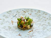 【サムフォールズ展特別】ランチコース