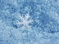 年末年始スペシャルランチコース＊12月30・31・1月2・3・4日