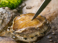 [Abalone Course Abalone Course] Casual sea urchin, abalone, and carefully selected domestic beef sirloin steak!