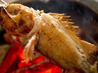 12/1～特選コース