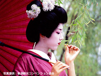 【文化体験】庭園個室で愉しむ 新潟古町芸妓の舞（1時間）　　　　　　　　　　　　　　　　　お食事の必須オーダー： 芸妓プランをご利用のお客様は、必ず会席料理（お一人様11,000円～）をご注文ください。