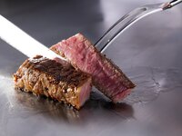 New Year's Lunch 🎍Hawk