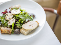 [平日，仅限WEB]热门4项前缀午餐（2开胃菜，主要甜点）通常6000日元→5400日元