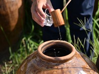 【霧島で生まれた黒毛和牛「窪田牛」と鹿児島黒豚を愉しむコース】