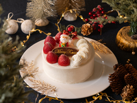 ガトーシャンティ【6号】