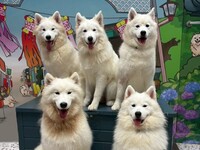 Weekends and Holidays: Private plan (50 minutes) ¥45,000