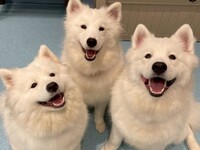 Weekdays: Private plan (50 minutes) ¥25,000