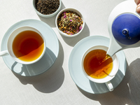 [Ronnefeldt Tea Seminar] ・The 4th Inuyama Tea Kabuki