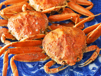 福井県産蟹土鍋ごはん膳