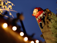 ２０周年ギフト付き　クリスマス　薪焼き特別コース