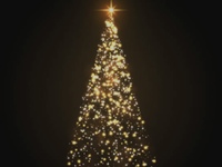 ”22日23日”クリスマスコース【ディナー】