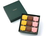 ＜持ち帰り専用＞ハンパーギフト（9個入り）