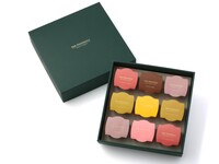 ＜持ち帰り専用＞ヴェリーヌ 6種（9個入り）