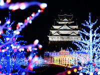 [12/13, 20, 21 | Osaka Castle Illumination 2025 admission ticket included] Luxury dinner including Nodoguro seabass and Japanese Black Beef fillet