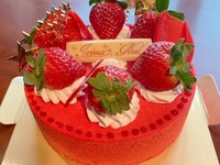 2025-レーブドベベ-15㎝