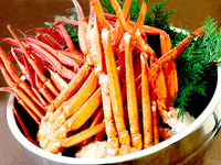 【第1部・大人】年末年始ディナービュッフェ