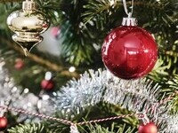 [2025 Christmas Toast with Sparkling Wine] ¥9,000