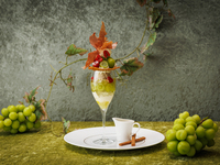 【TEA】～11/30・1日10食限定！シャインマスカットのパフェ 彩 ( いろどり )」