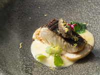 HIGASHIYAMA LUNCH　【鮮魚のポワレ　茄子のタプナード　柚子風味のブールブランソース】+2ドリンク