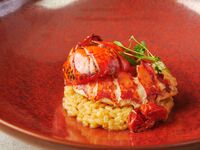 【11月限定】乾杯スパークリングワイン＋2時間飲み放題付！横浜野菜のバーニャカウダ＆メインがオマール海老＆厳選牛フィレ肉が選べるランチ