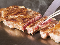 【秋桜A】 国産牛ロース肉の鉄板焼きコース（2026.2.1～）