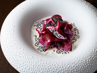 [Tokyo's Best Specialty Restaurant Week 2026] Inspiration *Private room available