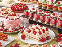 苺づくしのスイーツブッフェ 　幼児（4-6歳のお子様）