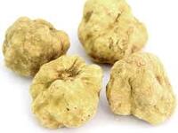 White truffle fragrant Christmas course