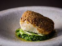 ≪Seasonal Dinner Set≫鯛のピスタチオバター焼き　ヴェルデュレット・リゾットと共に