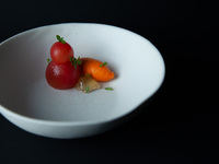 Dinner Vegetarian Course