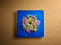 12/31～1/3【Lunch】年末年始限定 GrandBaobab贅沢コース (12,000円/込)