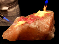 1.2月 ランチブッフェ【7～12歳】(12/29~31) 