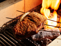 [Special Lunch Course ]