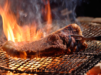 [※Only holiday※ Special Lunch Course ]