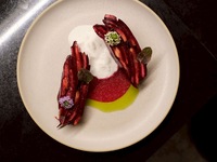 [Limited Time Offer] WINTER COURSE 5-course meal ◆ Healthy course featuring seasonal vegetables <Dessert can be changed to a message plate>