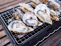 牡蠣のバケツ盛り [中] & 牡蠣のスンドゥブ鍋セット