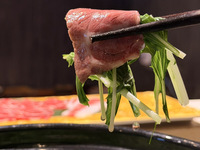 특선 사쿠라 하리 하리 냄비 코스