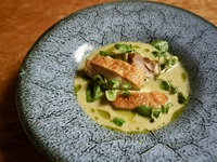 季節のスペシャルコース 全8品　