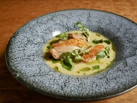 Seasonal Special Course (8 dishes + Zebra Striping)