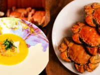 Botan Dinner Course Winter Special