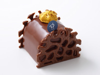 ビュッシュ モガドール