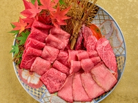 【烤肉串套餐】今天是肉食日！我們特意準備了這款套餐，讓您享受肉食盛宴。套裝包含12片精心挑選的烤肉串！您可以自行選擇鹽和醬汁的調味比例。 *圖片所示為兩人份。