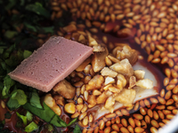 【ディナー】　2026年2月～2026年3月　ショートディナーコース