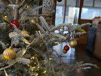 12月限定【Xmasパーティプラン】　