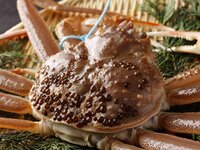 <All rooms are private> [Crab Bliss] 5 kinds of crab dishes including Kobako crab, Kano crab grilled on an hearth, and crab sashimi, plus Matsusaka beef grilled on an hearth - 9 dishes in total