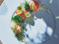 【12/26～VENTコース】　前菜・メインディッシュ含む3皿＋スイーツセレクション5種