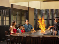 30% Discount Yukigafuru